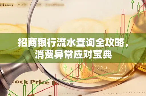 招商银行流水查询全攻略,消费异常应对宝典