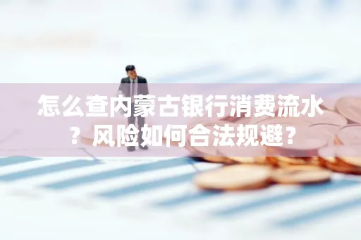 怎么查内蒙古银行消费流水?风险如何合法规避?