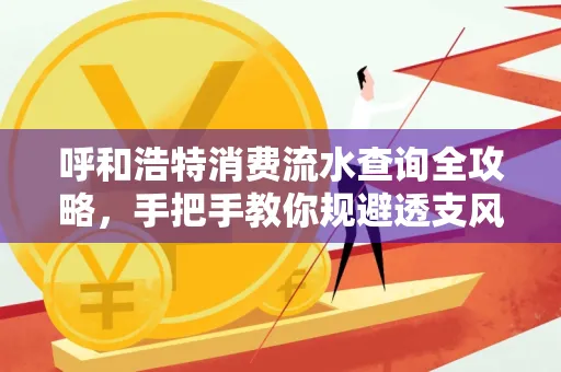 呼和浩特消费流水查询全攻略,手把手教你规避透支风险