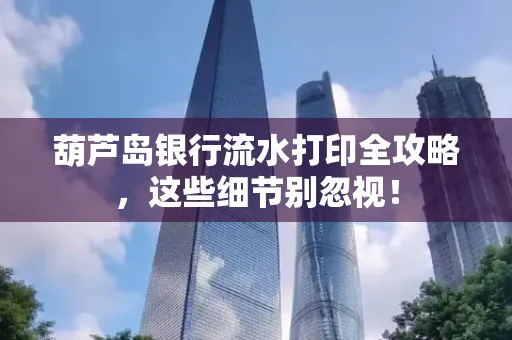 葫芦岛银行流水打印全攻略,这些细节别忽视!