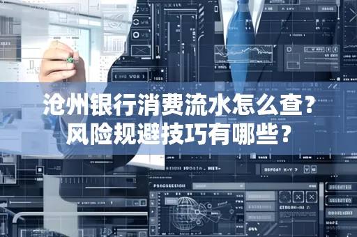 沧州银行消费流水怎么查？风险规避技巧有哪些？