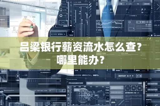 吕梁银行薪资流水怎么查？哪里能办？