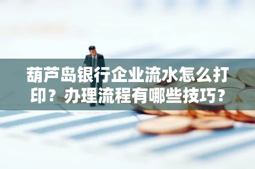 葫芦岛银行企业流水怎么打印?办理流程有哪些技巧?