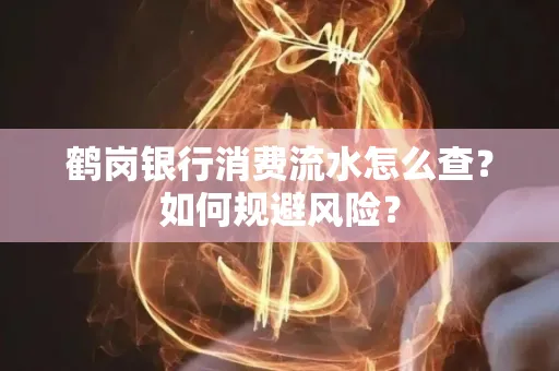 鹤岗银行消费流水怎么查?如何规避风险?