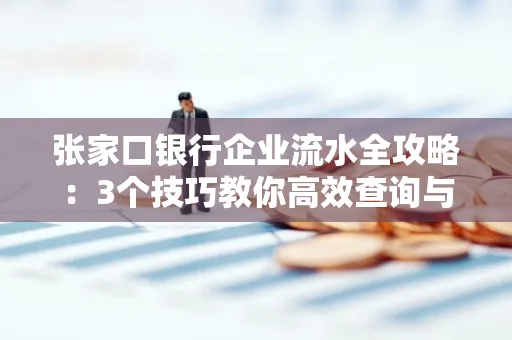 张家口银行企业流水全攻略:3个技巧教你高效查询与风险规避