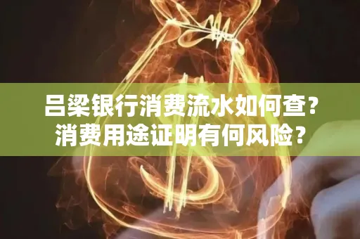 吕梁银行消费流水如何查?消费用途证明有何风险?