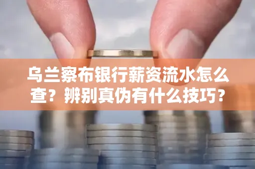 乌兰察布银行薪资流水怎么查?辨别真伪有什么技巧?