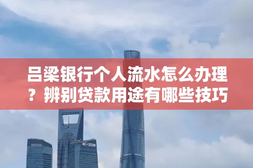 吕梁银行个人流水怎么办理?辨别贷款用途有哪些技巧?