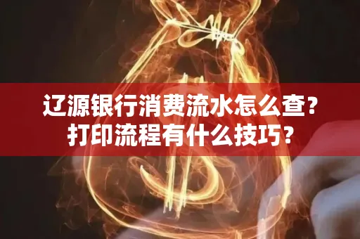 辽源银行消费流水怎么查?打印流程有什么技巧?