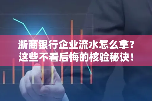 浙商银行企业流水怎么拿?这些不看后悔的核验秘诀!