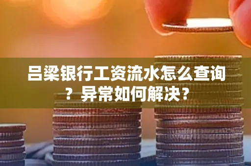 吕梁银行工资流水怎么查询?异常如何解决?