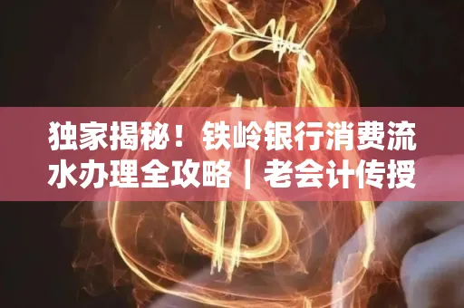 独家揭秘!铁岭银行消费流水办理全攻略|老会计传授防诈技巧
