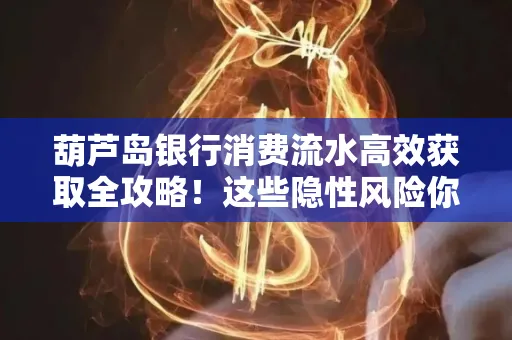 葫芦岛银行消费流水高效获取全攻略！这些隐性风险你必须知道