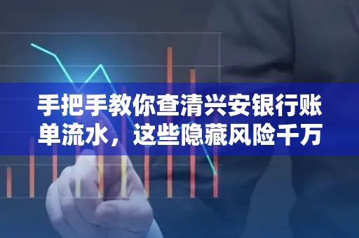 手把手教你查清兴安银行账单流水,这些隐藏风险千万注意!