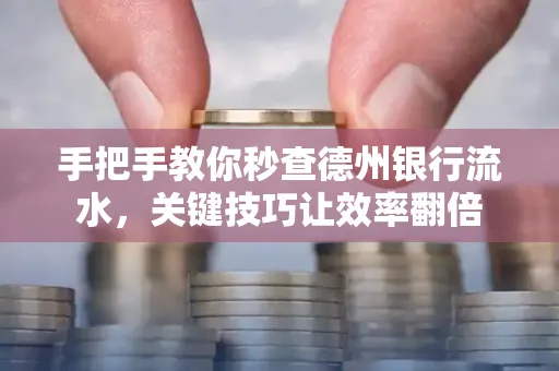 手把手教你秒查德州银行流水,关键技巧让效率翻倍