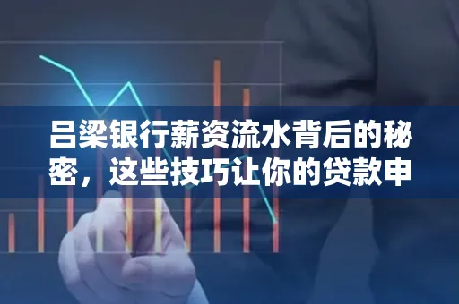 吕梁银行薪资流水背后的秘密,这些技巧让你的贷款申请快人一步