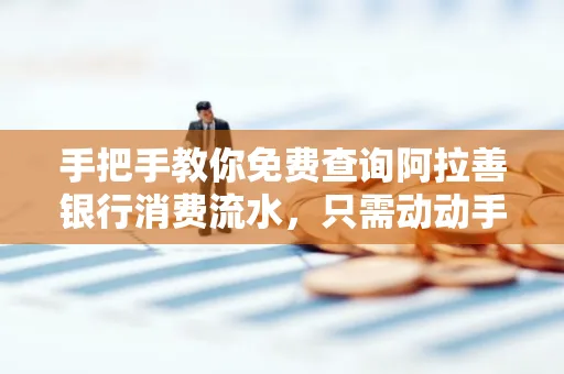 手把手教你免费查询阿拉善银行消费流水,只需动动手指就能完成