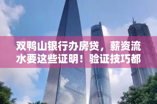 双鸭山银行办房贷,薪资流水要这些证明!验证技巧都在这里!