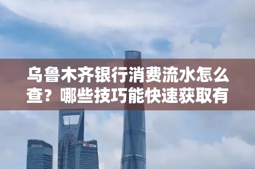 乌鲁木齐银行消费流水怎么查?哪些技巧能快速获取有效信息?