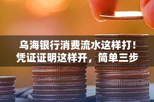 乌海银行消费流水这样打!凭证证明这样开,简单三步轻松搞定