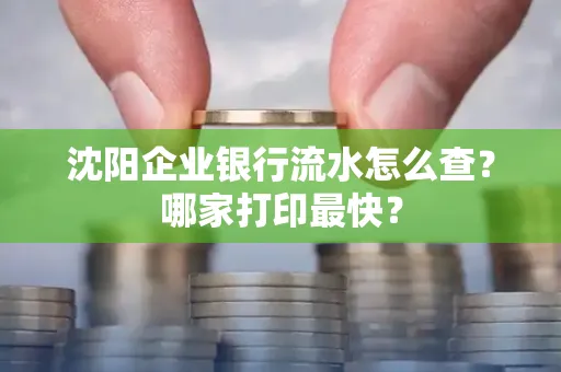 沈阳企业银行流水怎么查?哪家打印最快?