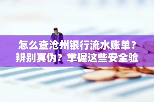 怎么查沧州银行流水账单?辨别真伪?掌握这些安全验证方法