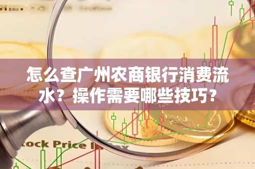 怎么查广州农商银行消费流水?操作需要哪些技巧?
