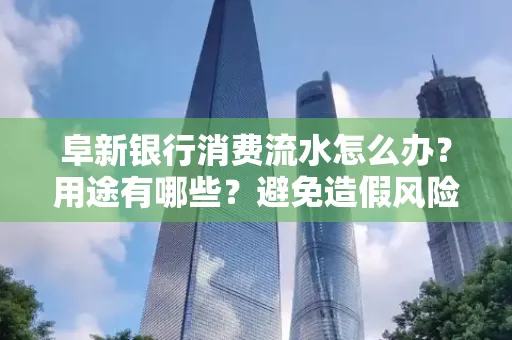 阜新银行消费流水怎么办?用途有哪些?避免造假风险方法