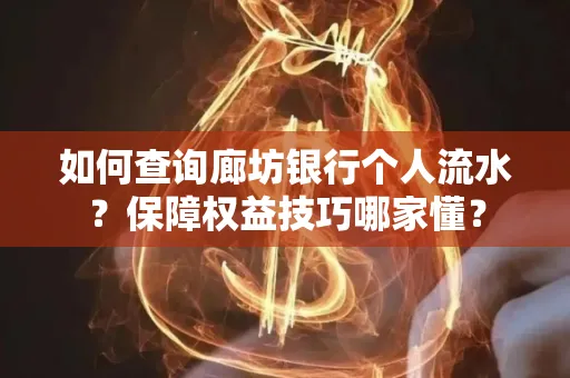 如何查询廊坊银行个人流水?保障权益技巧哪家懂?