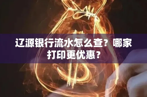 辽源银行流水怎么查?哪家打印更优惠?
