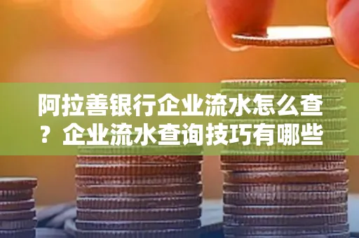 阿拉善银行企业流水怎么查?企业流水查询技巧有哪些?