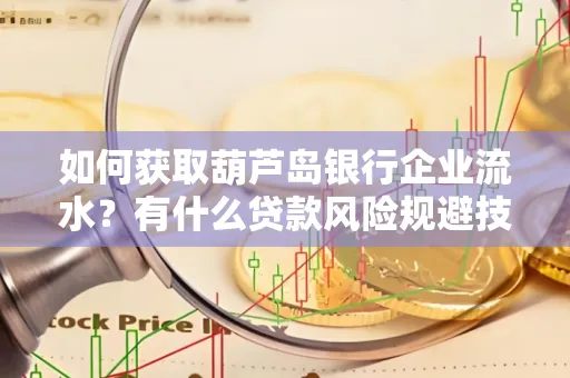 如何获取葫芦岛银行企业流水?有什么贷款风险规避技巧?