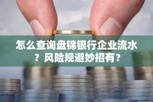怎么查询盘锦银行企业流水?风险规避妙招有?