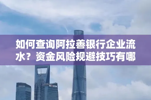 如何查询阿拉善银行企业流水?资金风险规避技巧有哪些?