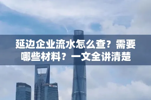 延边企业流水怎么查?需要哪些材料?一文全讲清楚