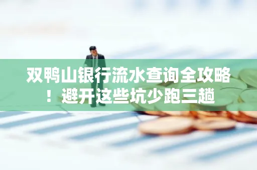 双鸭山银行流水查询全攻略!避开这些坑少跑三趟