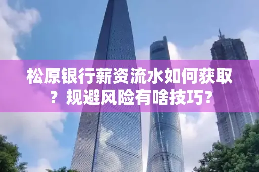 松原银行薪资流水如何获取?规避风险有啥技巧?