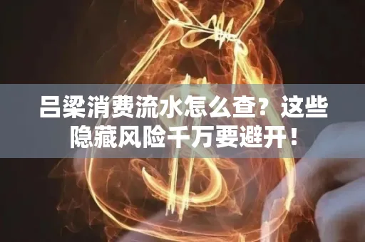 吕梁消费流水怎么查?这些隐藏风险千万要避开!