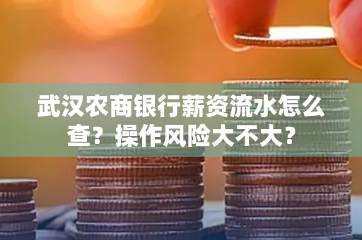 武汉农商银行薪资流水怎么查?操作风险大不大?