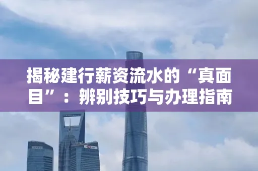 揭秘建行薪资流水的“真面目”:辨别技巧与办理指南大公开