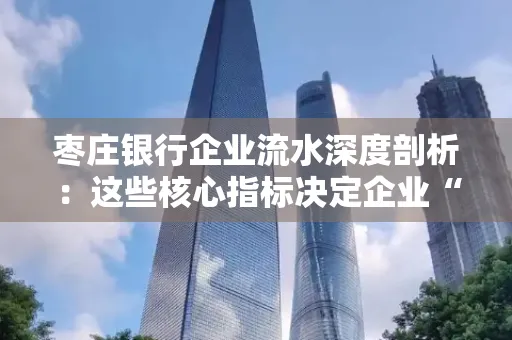 枣庄银行企业流水深度剖析:这些核心指标决定企业“钱袋子”健康度