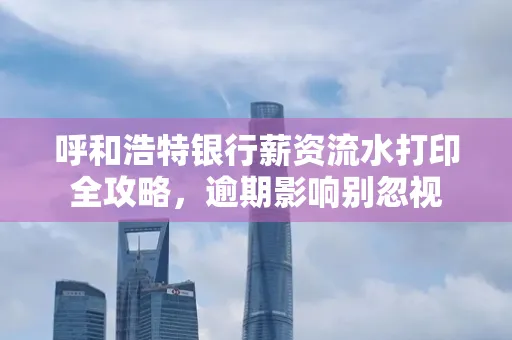呼和浩特银行薪资流水打印全攻略,逾期影响别忽视