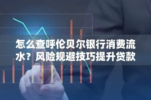怎么查呼伦贝尔银行消费流水?风险规避技巧提升贷款率?